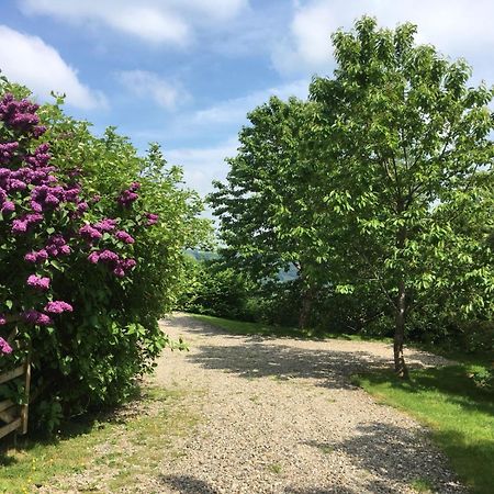 Cefn Ceiriog Villa Llangollen Dış mekan fotoğraf